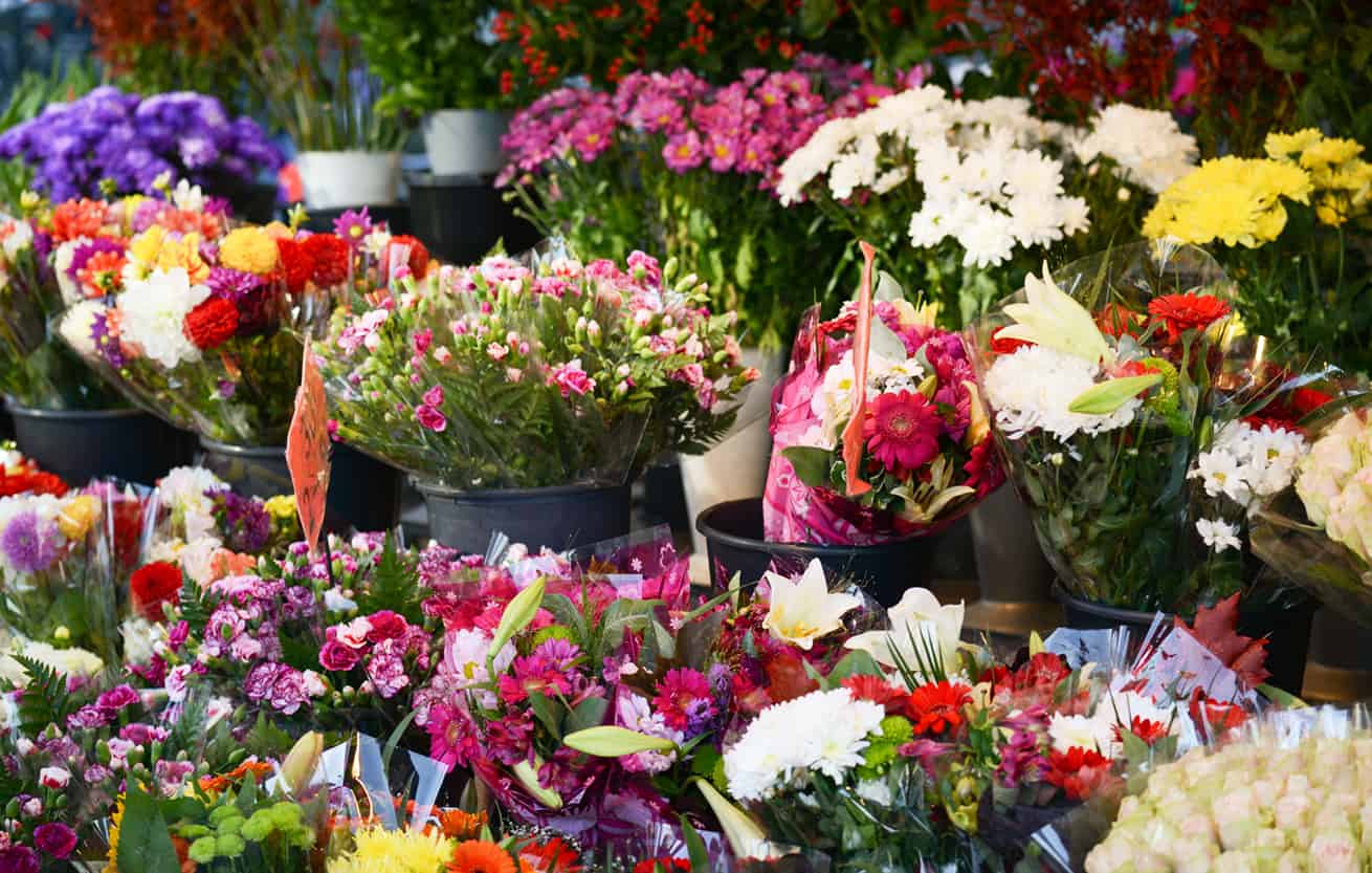 Floral Trade - The Business of Cut Flowers