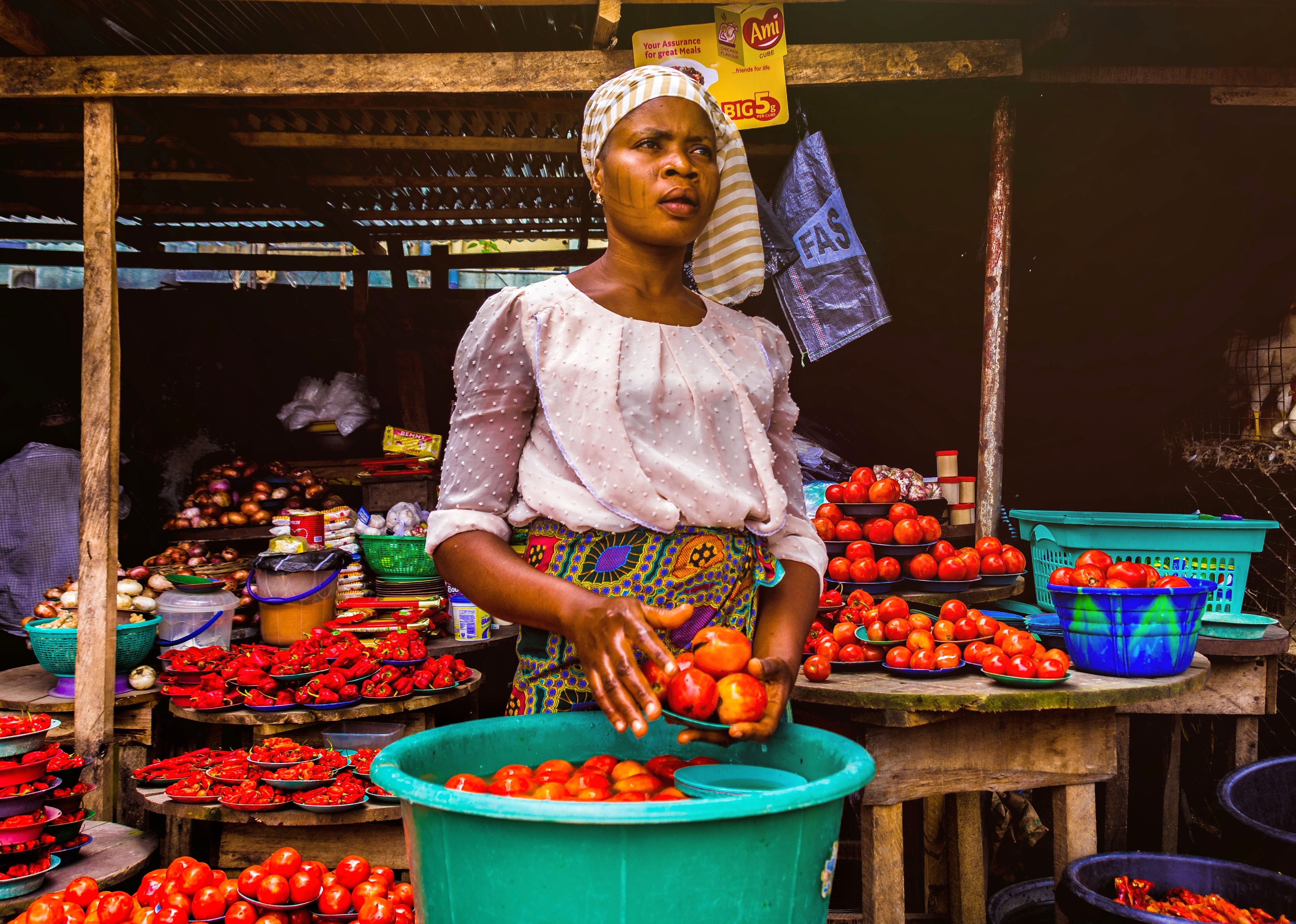 Food Importation vs. Local Production in Africa: Balancing Cost, Quality, and Sustainability