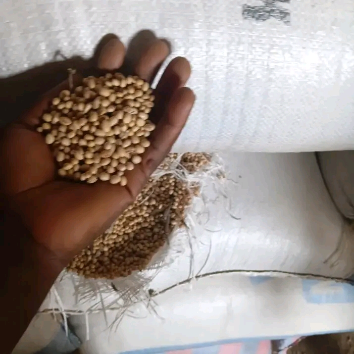 Raw cashew nut, soyabeans, sesame seeds and hibiscus flower